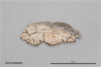 陶蓋片藏品圖，第2張